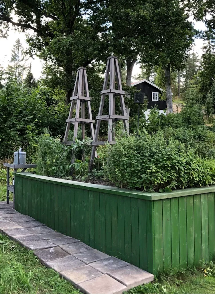 Grönt i planteringslåda målad med grön tjärfärg