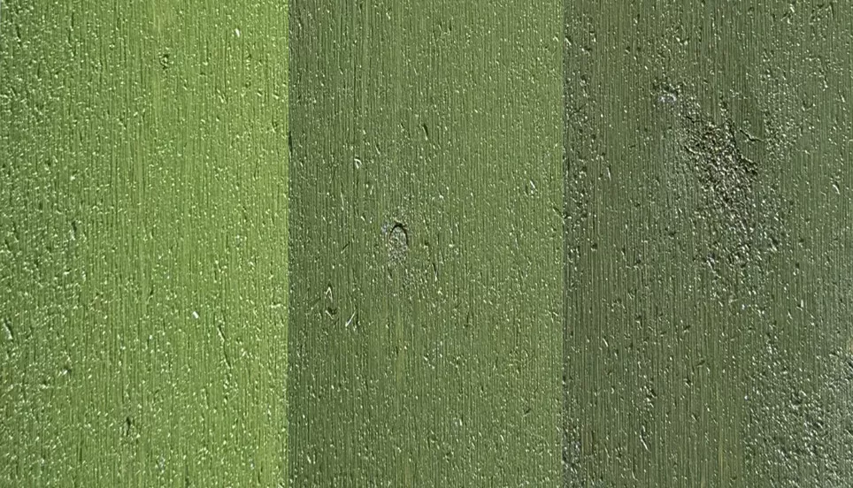 Mixa din egen ton av Auson Gröntjära