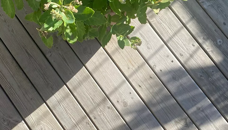 Gammeldags Trallsåpa vit på altan